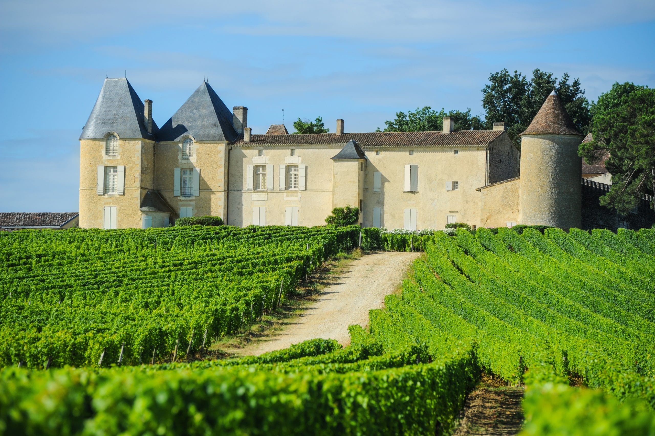 Vineyard,And,Chateau,D'yquem,,Sauternes,Region,,Aquitaine,,France