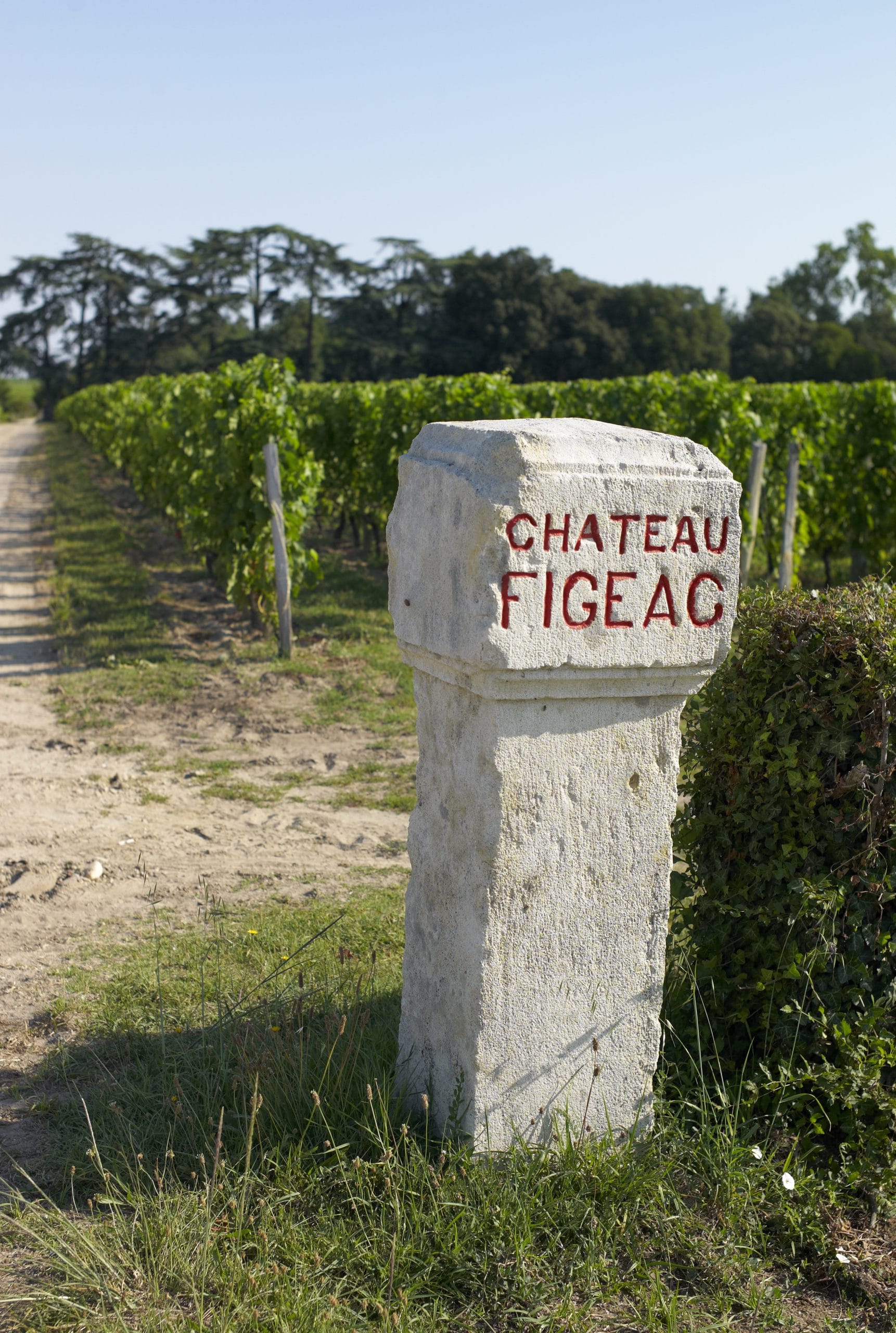 Chateau,Figeac,Saint emilion